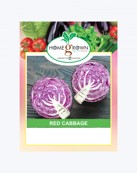 Red Cabbage