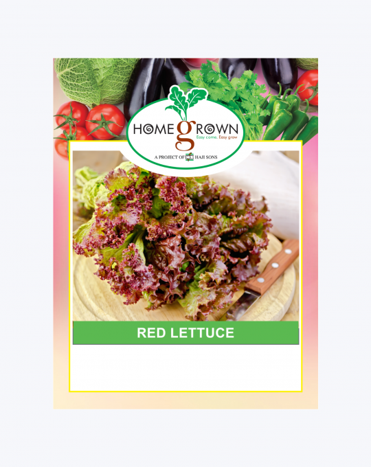 Leaf Lettuce Red